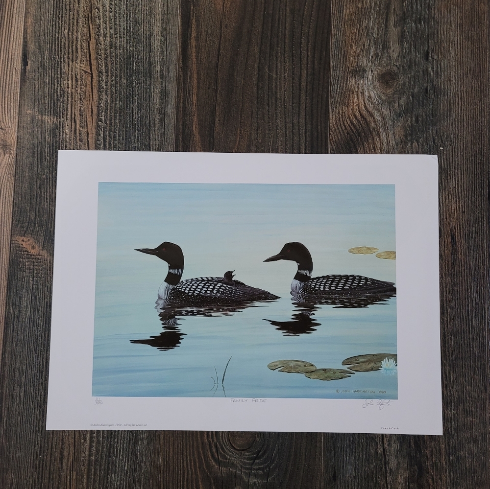 Family Pride John Harrington Limited Edition Print